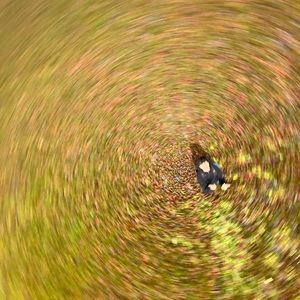 Meet your Posher, Damian